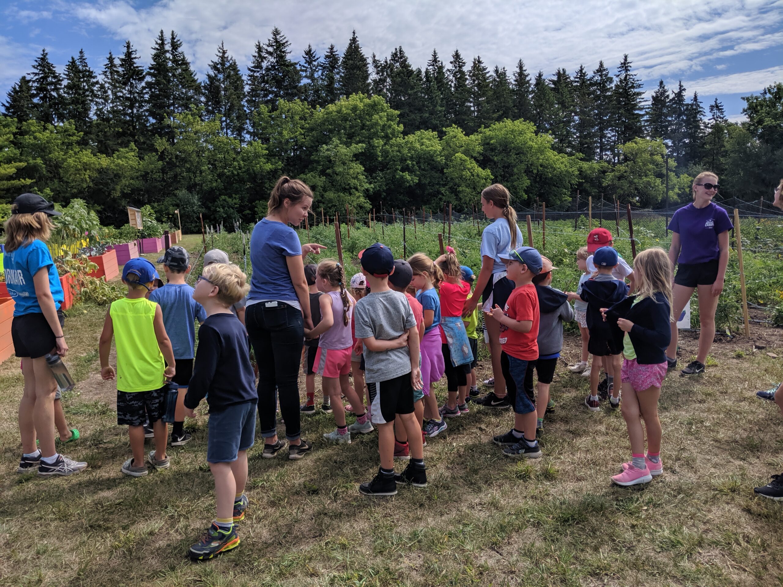 4 year olds learning about tomatoes